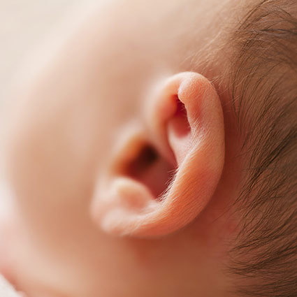 Close-up of a baby's ear