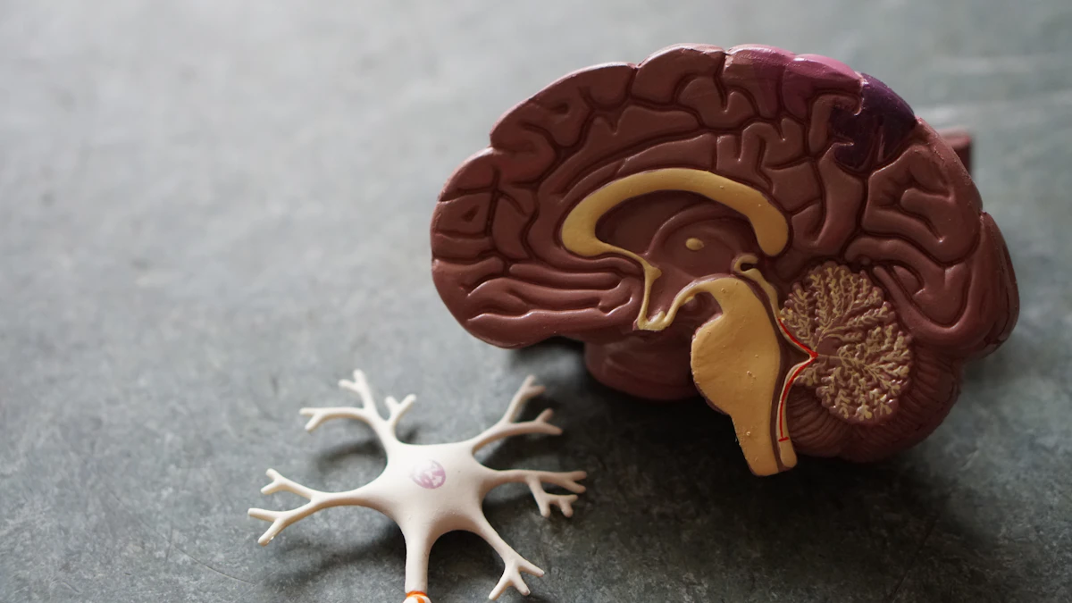 Multiple Sclerosis Nervous System Support